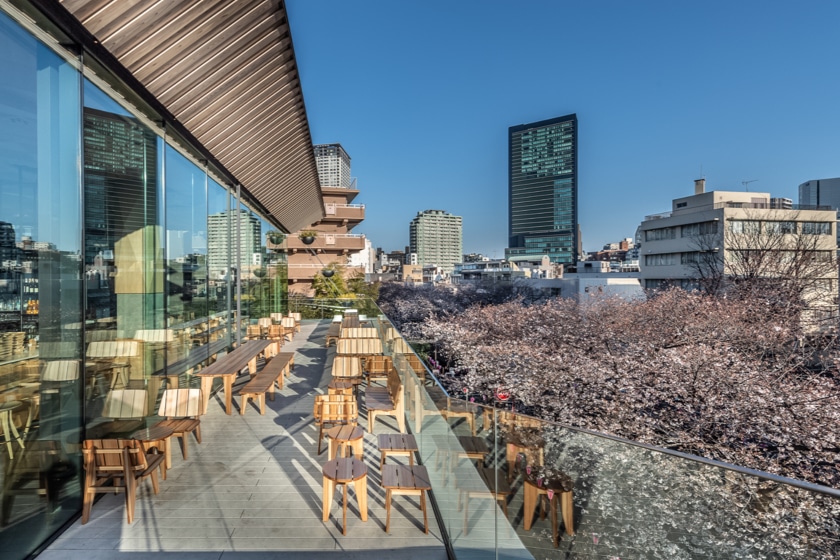 TF Sticker x Starbucks Reserve Roastery Tokyo Reserve Logo [07100-699]  4524785367005