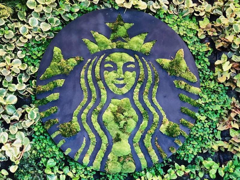 Siren logo made out of floral greenery