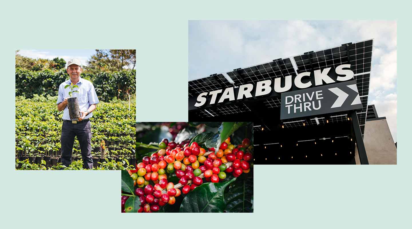Photos of a coffee farmer, coffee cherries and a Starbucks store with solar panels.