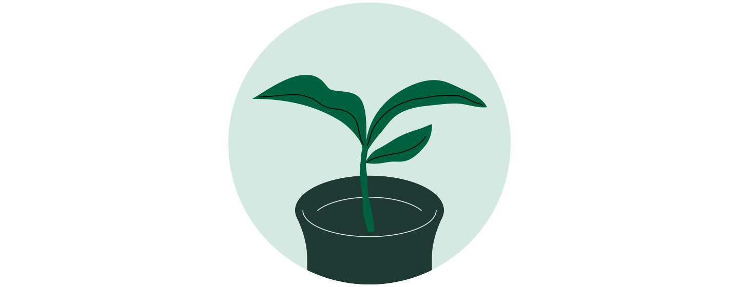 Illustration of a small plant in a container with three leaves sprouting upward