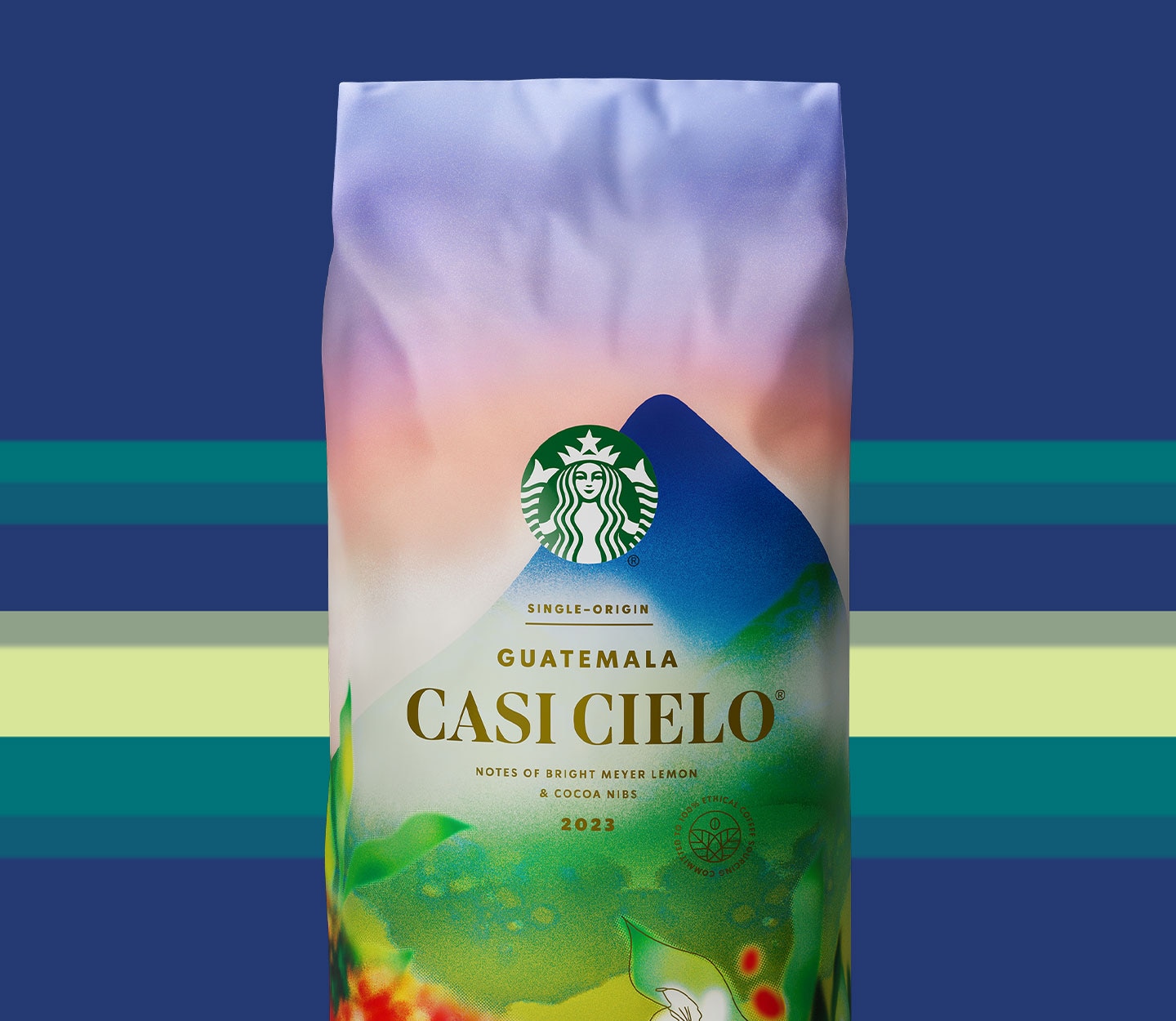 A coffee bag with an illustration of a mountain and green foliage below.