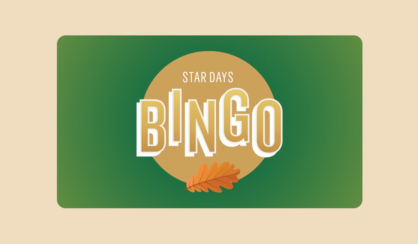 Star Day BINGO logo