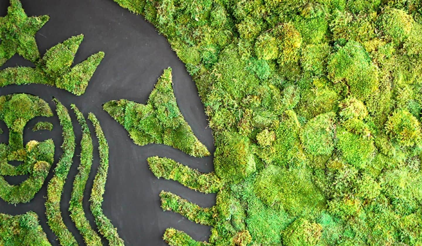 Une vue aérienne de la sirène Starbucks composée de plantes vertes et entourée de verdure.